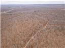 Photo 61 - Land for sale – 80+/-Acres  Proctor Lane  Gravois Mills, MO
