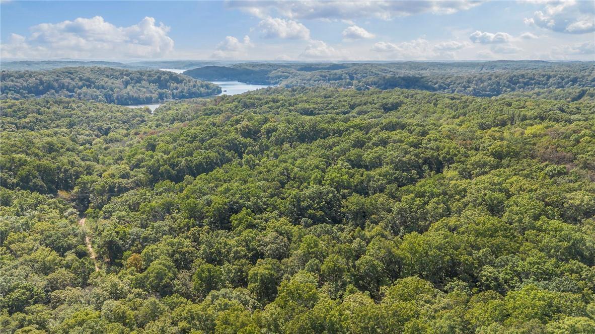 Photo 11 - Land for sale – 80+/-Acres  Proctor Lane  Gravois Mills, MO
