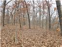 Photo 12 - Land for sale – 80+/-Acres  Proctor Lane  Gravois Mills, MO