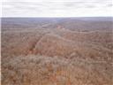 Photo 72 - Land for sale – 80+/-Acres  Proctor Lane  Gravois Mills, MO