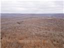 Photo 70 - Land for sale – 80+/-Acres  Proctor Lane  Gravois Mills, MO