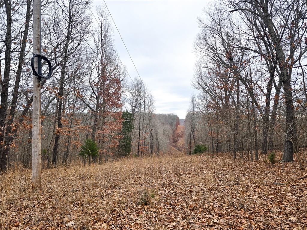 Photo 22 - Land for sale – 80+/-Acres  Proctor Lane  Gravois Mills, MO