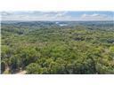 Photo 13 - Land for sale – 80+/-Acres  Proctor Lane  Gravois Mills, MO
