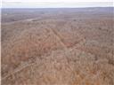 Photo 62 - Land for sale – 80+/-Acres  Proctor Lane  Gravois Mills, MO