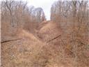 Photo 73 - Land for sale – 80+/-Acres  Proctor Lane  Gravois Mills, MO