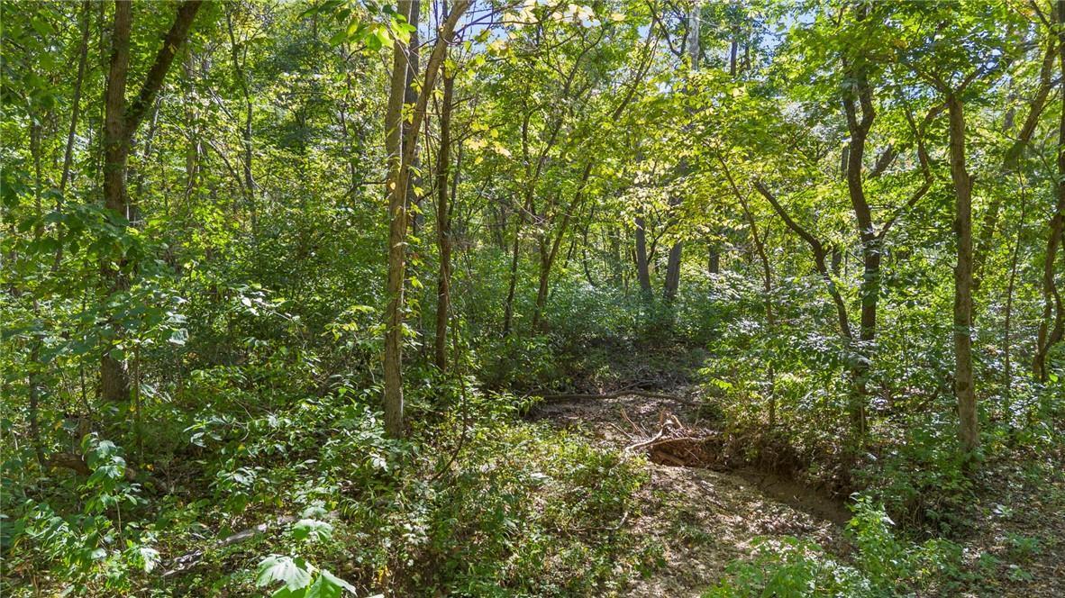 Photo 3 - Land for sale – 80+/-Acres  Proctor Lane  Gravois Mills, MO