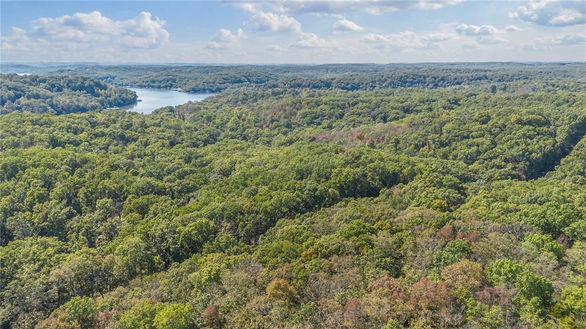 Photo 9 - Land for sale – 80+/-Acres  Proctor Lane  Gravois Mills, MO