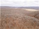 Photo 54 - Land for sale – 80+/-Acres  Proctor Lane  Gravois Mills, MO