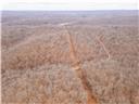 Photo 63 - Land for sale – 80+/-Acres  Proctor Lane  Gravois Mills, MO