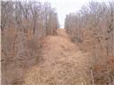 Photo 75 - Land for sale – 80+/-Acres  Proctor Lane  Gravois Mills, MO