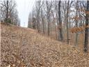 Photo 29 - Land for sale – 80+/-Acres  Proctor Lane  Gravois Mills, MO