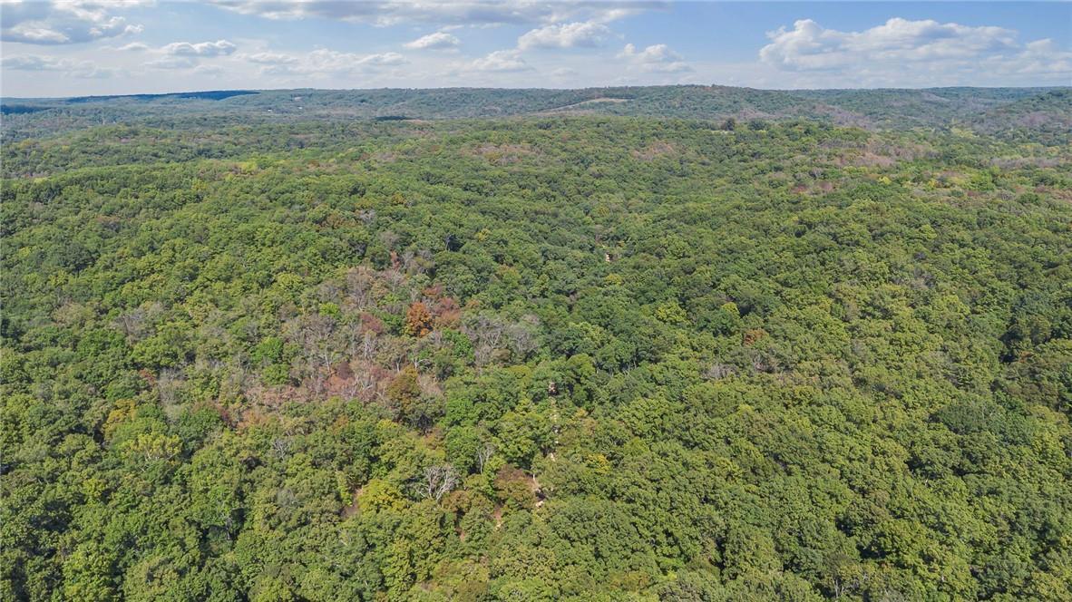 Photo 4 - Land for sale – 80+/-Acres  Proctor Lane  Gravois Mills, MO