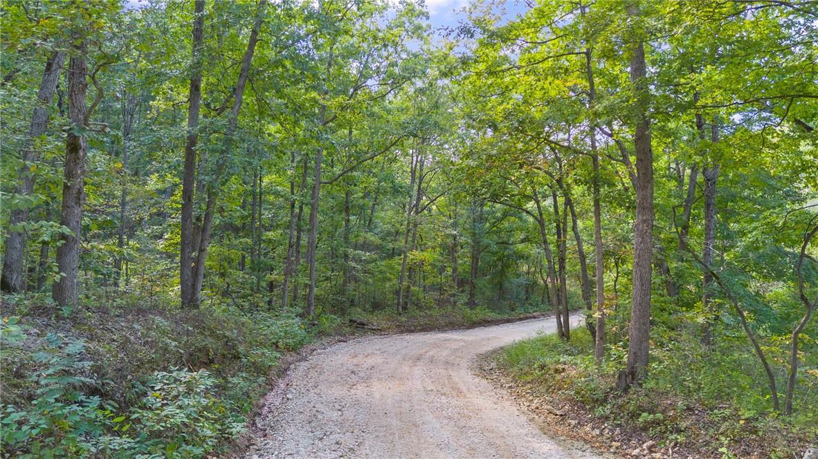 Photo 2 - Land for sale – 80+/-Acres  Proctor Lane  Gravois Mills, MO