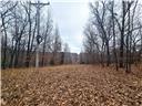 Photo 21 - Land for sale – 80+/-Acres  Proctor Lane  Gravois Mills, MO