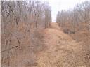 Photo 74 - Land for sale – 80+/-Acres  Proctor Lane  Gravois Mills, MO