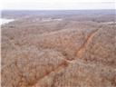 Photo 64 - Land for sale – 80+/-Acres  Proctor Lane  Gravois Mills, MO