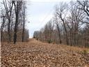 Photo 23 - Land for sale – 80+/-Acres  Proctor Lane  Gravois Mills, MO