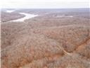 Photo 65 - Land for sale – 80+/-Acres  Proctor Lane  Gravois Mills, MO