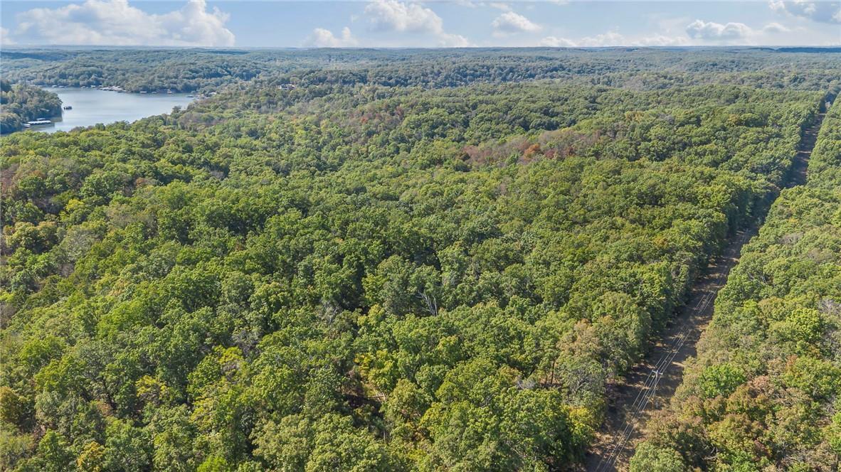 Photo 6 - Land for sale – 80+/-Acres  Proctor Lane  Gravois Mills, MO