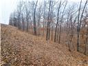 Photo 28 - Land for sale – 80+/-Acres  Proctor Lane  Gravois Mills, MO