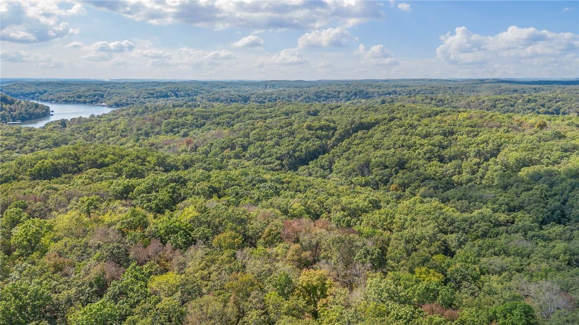 Photo 10 - Land for sale – 80+/-Acres  Proctor Lane  Gravois Mills, MO