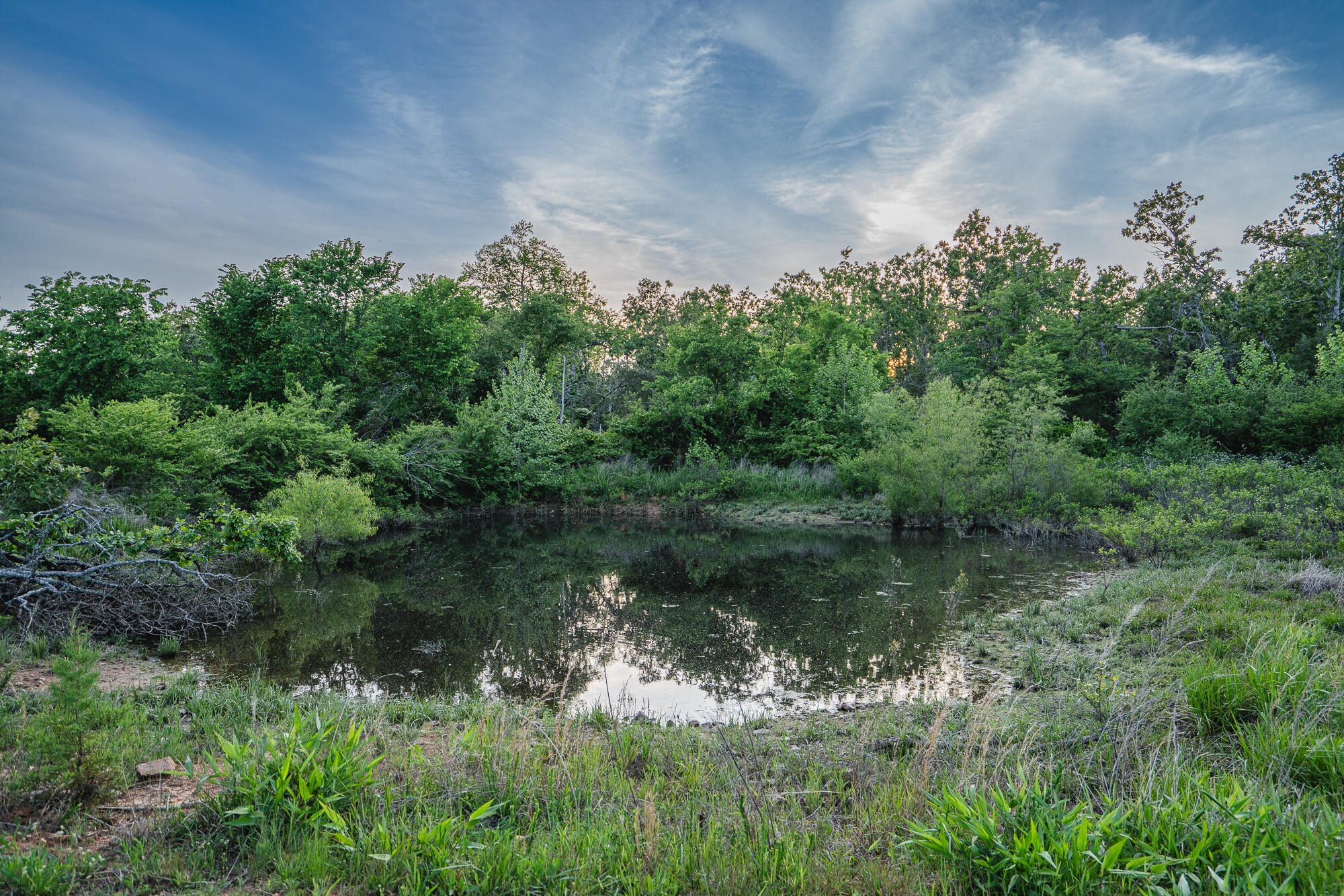 Photo 17 - Residential for sale – 11305  State Route Jj   West Plains, MO