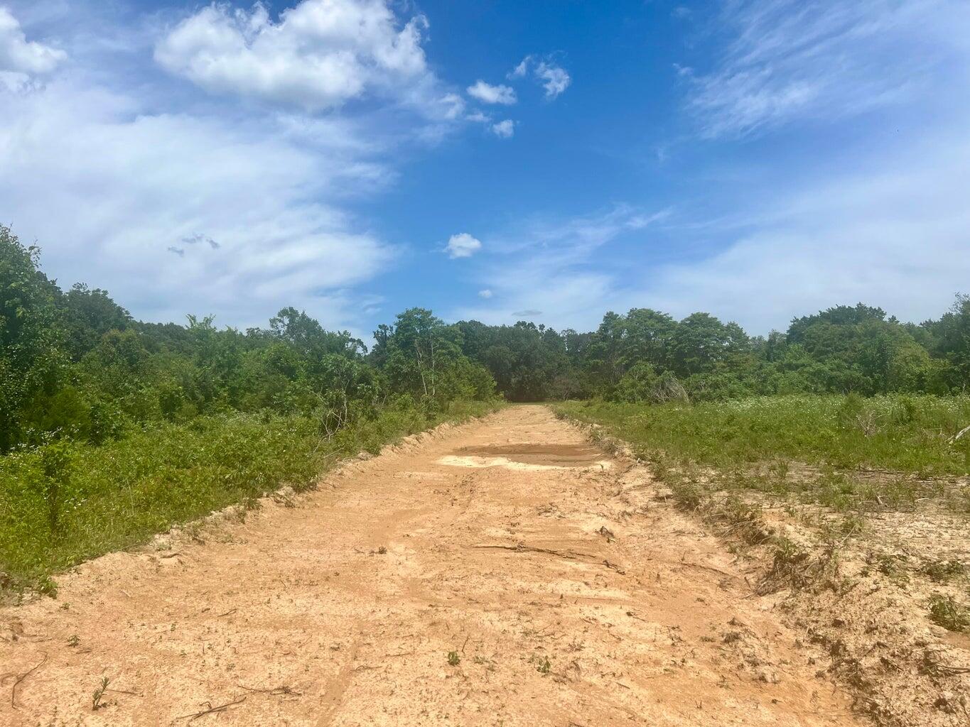 Photo 2 - Land for sale – Tract 5  State Highway 112   Cassville, MO