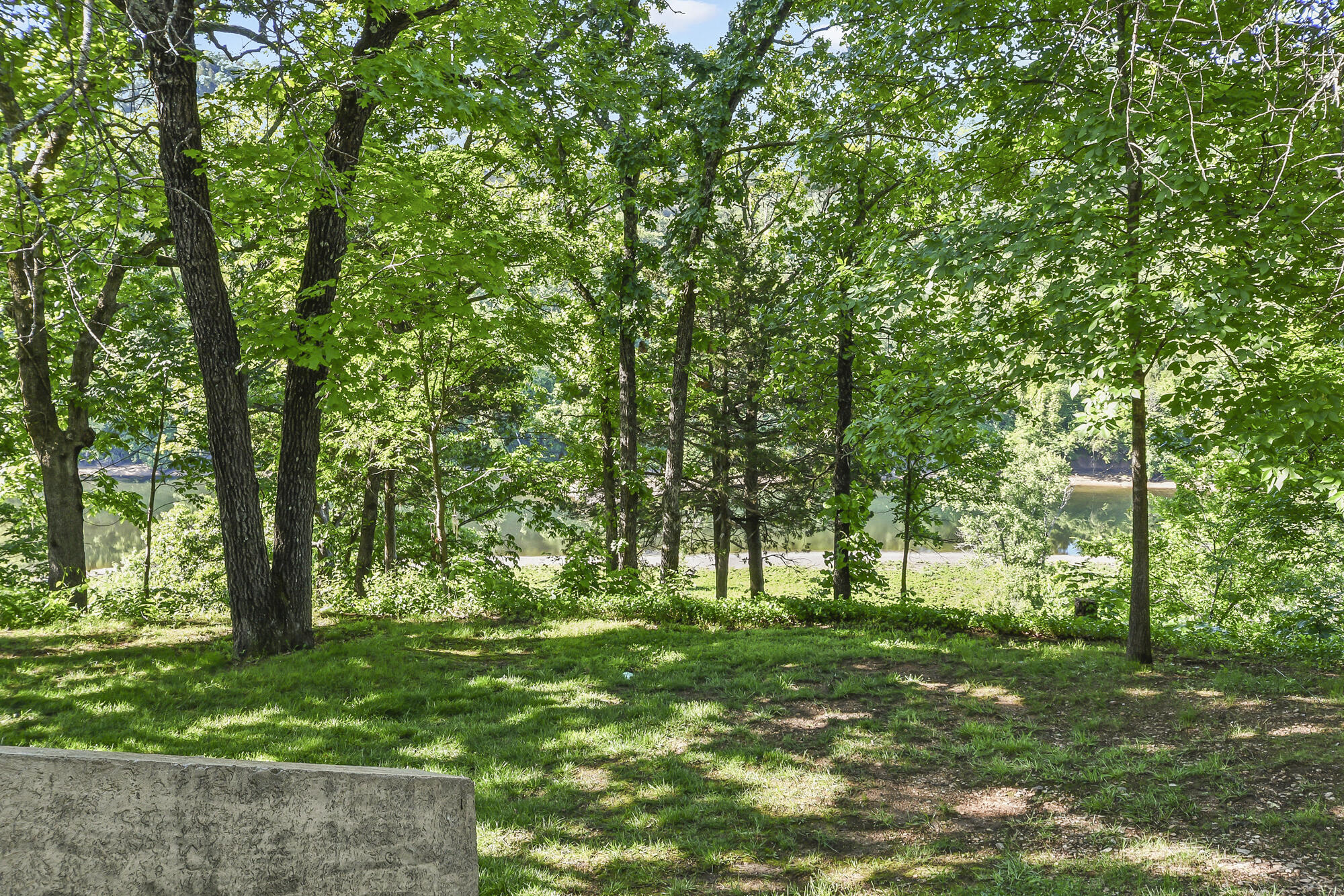 Photo 33 - Residential for sale – 150  The Bluffs 31-3   Branson, MO