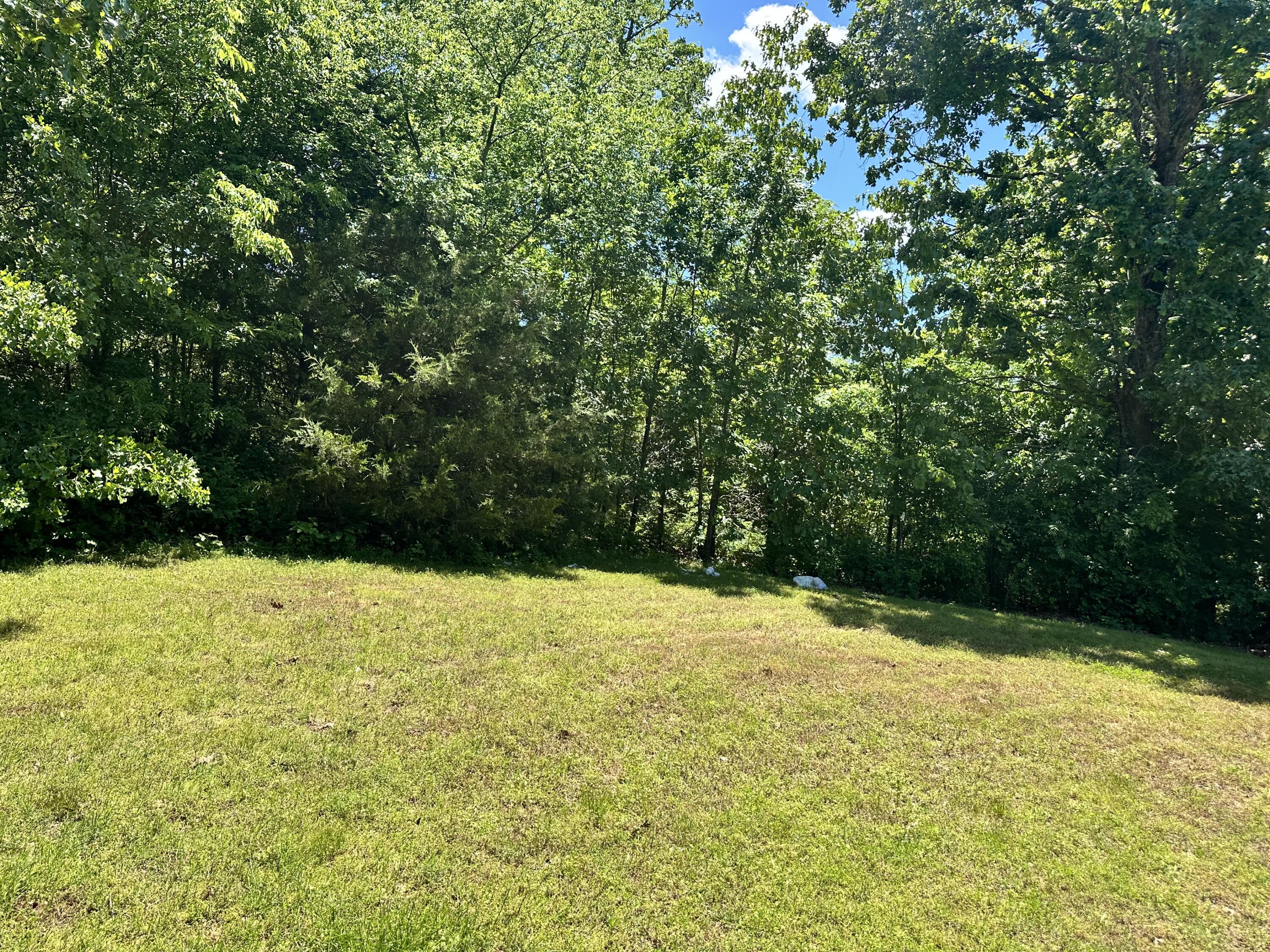 Photo 33 - Residential for sale – 429  Pine Cone Lane  Mammoth Spring, AR