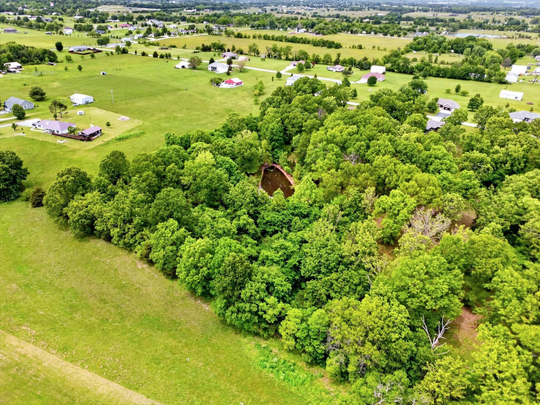 Photo 44 - Residential for sale – 300  Alice Place  Ozark, MO