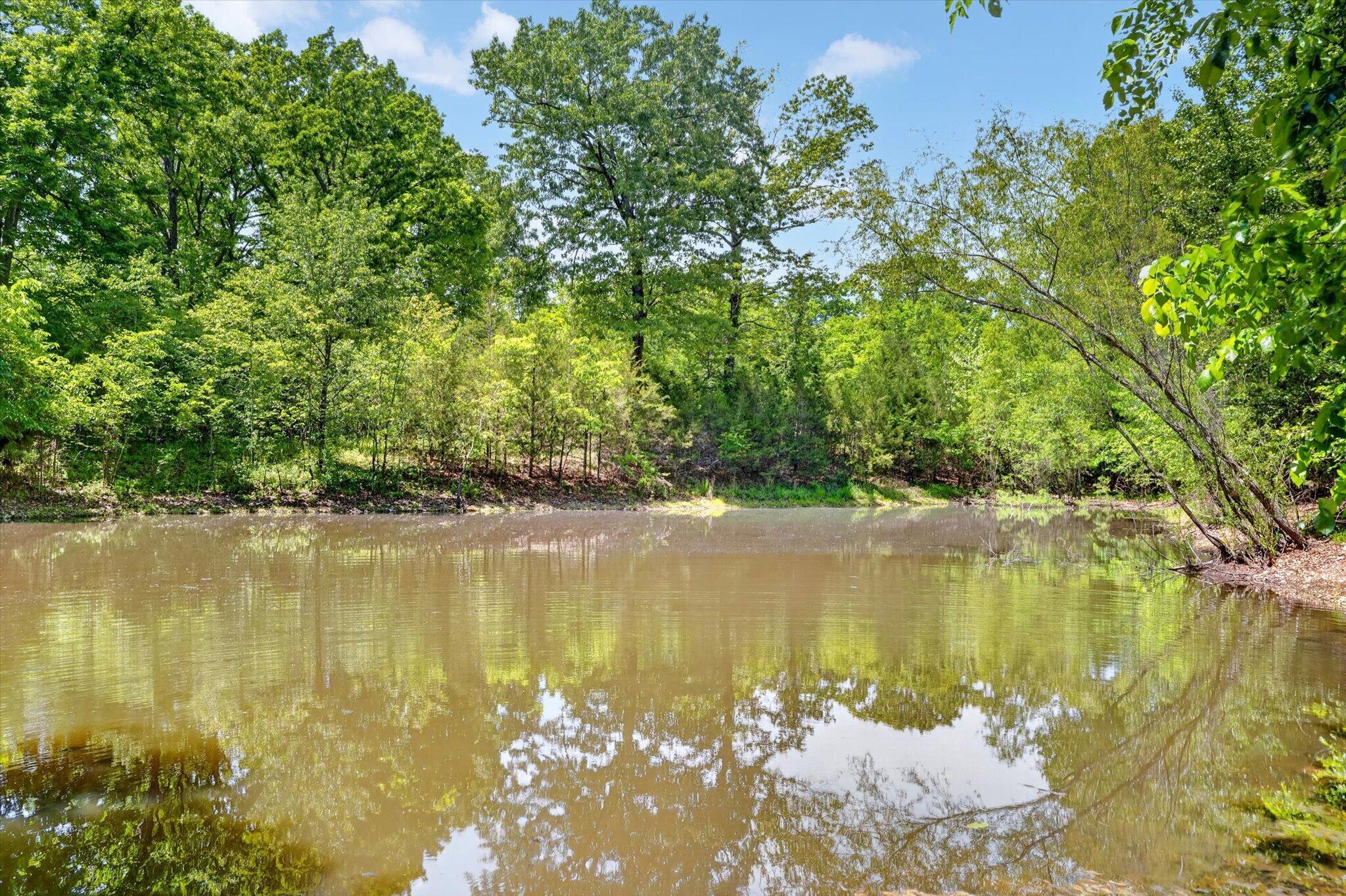 Photo 41 - Residential for sale – 300  Alice Place  Ozark, MO