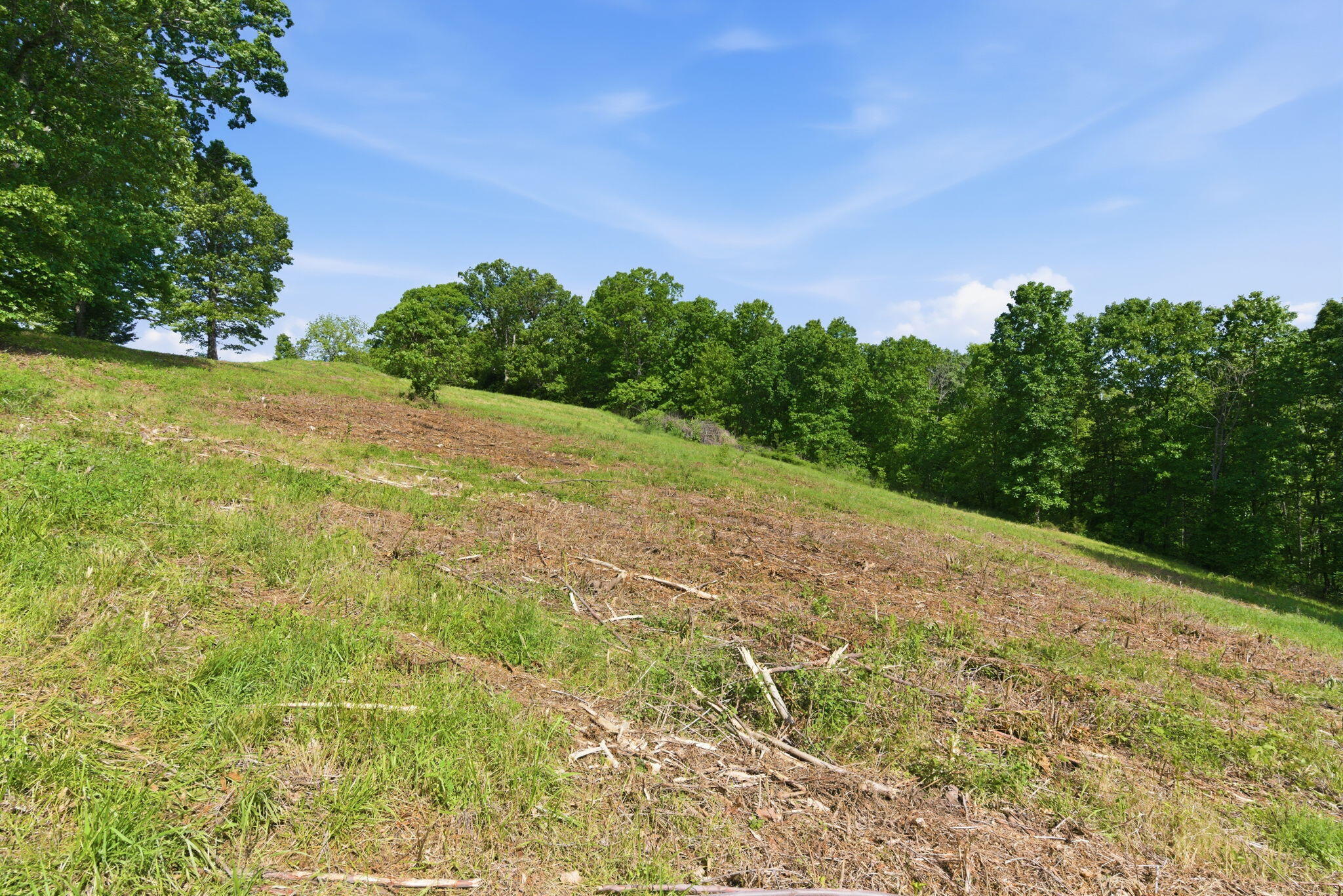Photo 10 - Land for sale – 000  1481 Road  Stockton, MO