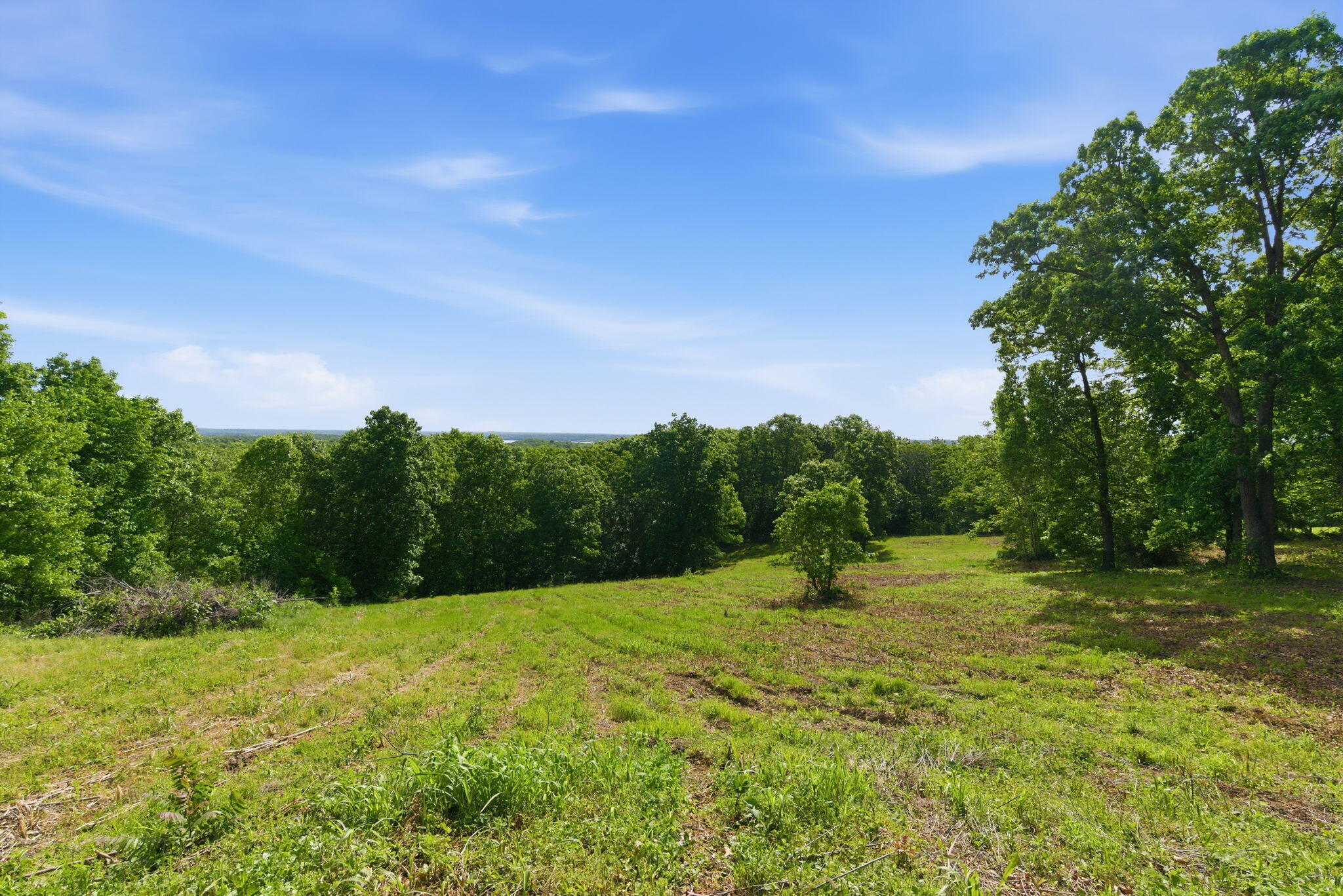 Photo 5 - Land for sale – 000  1481 Road  Stockton, MO