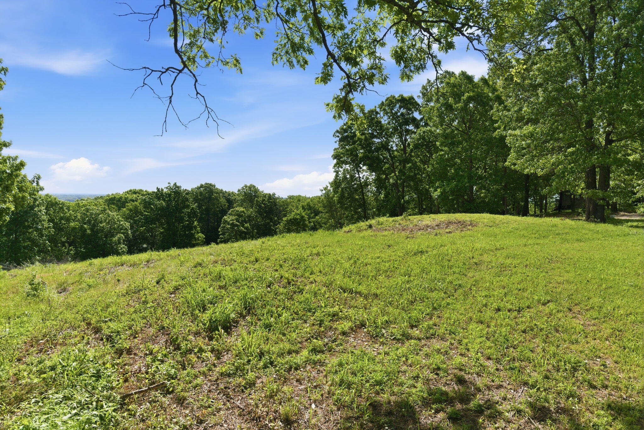 Photo 7 - Land for sale – 000  1481 Road  Stockton, MO