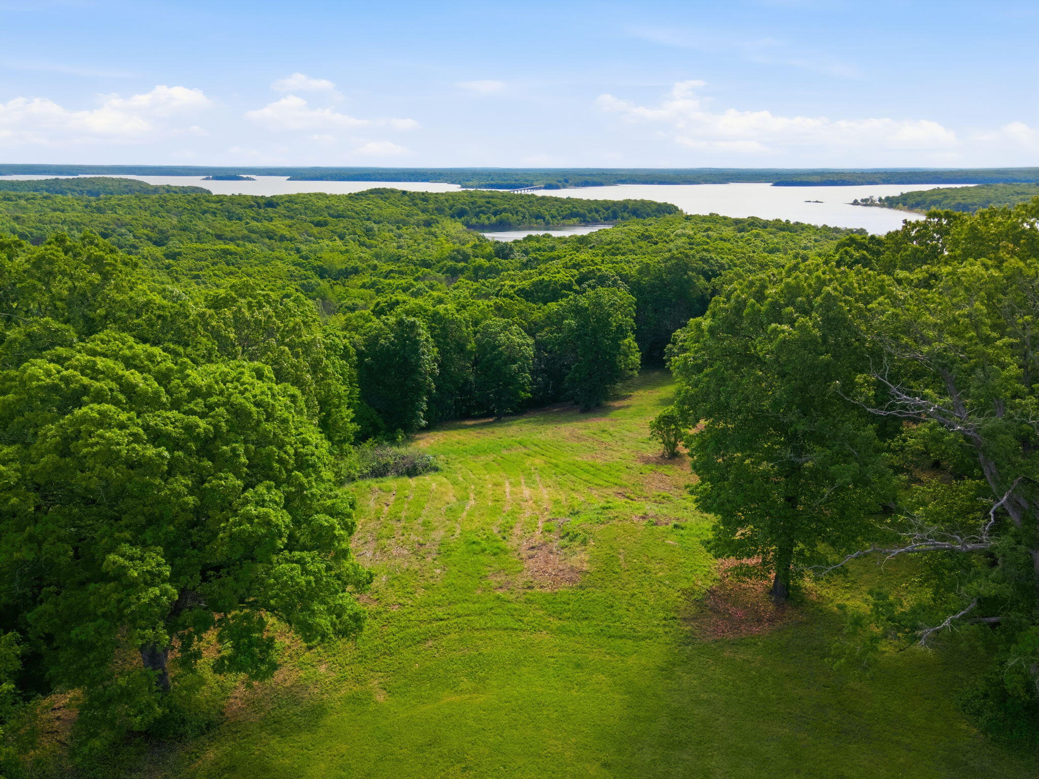 Land for sale – 000  1481 Road  Stockton, MO