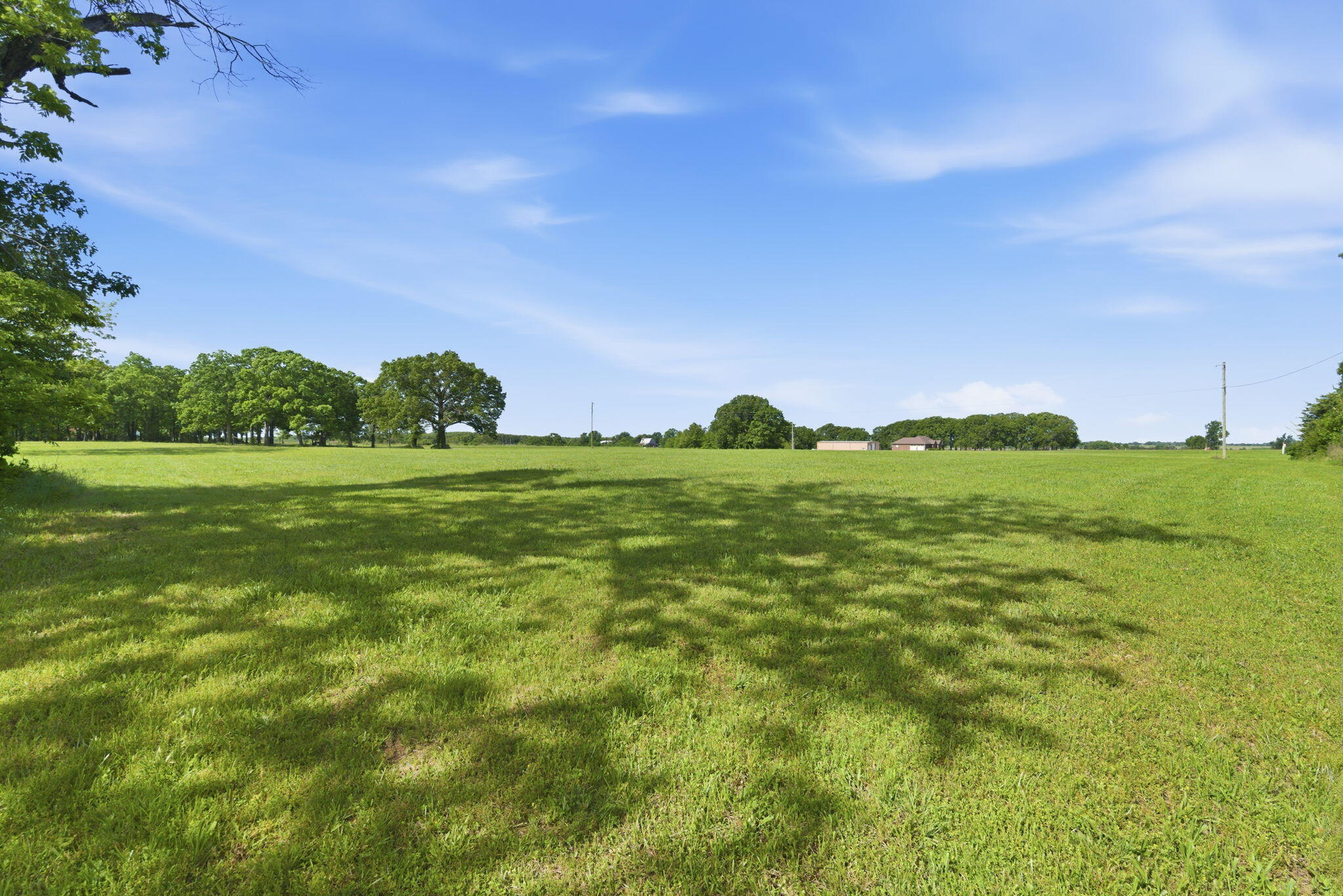 Photo 8 - Land for sale – 000  1481 Road  Stockton, MO