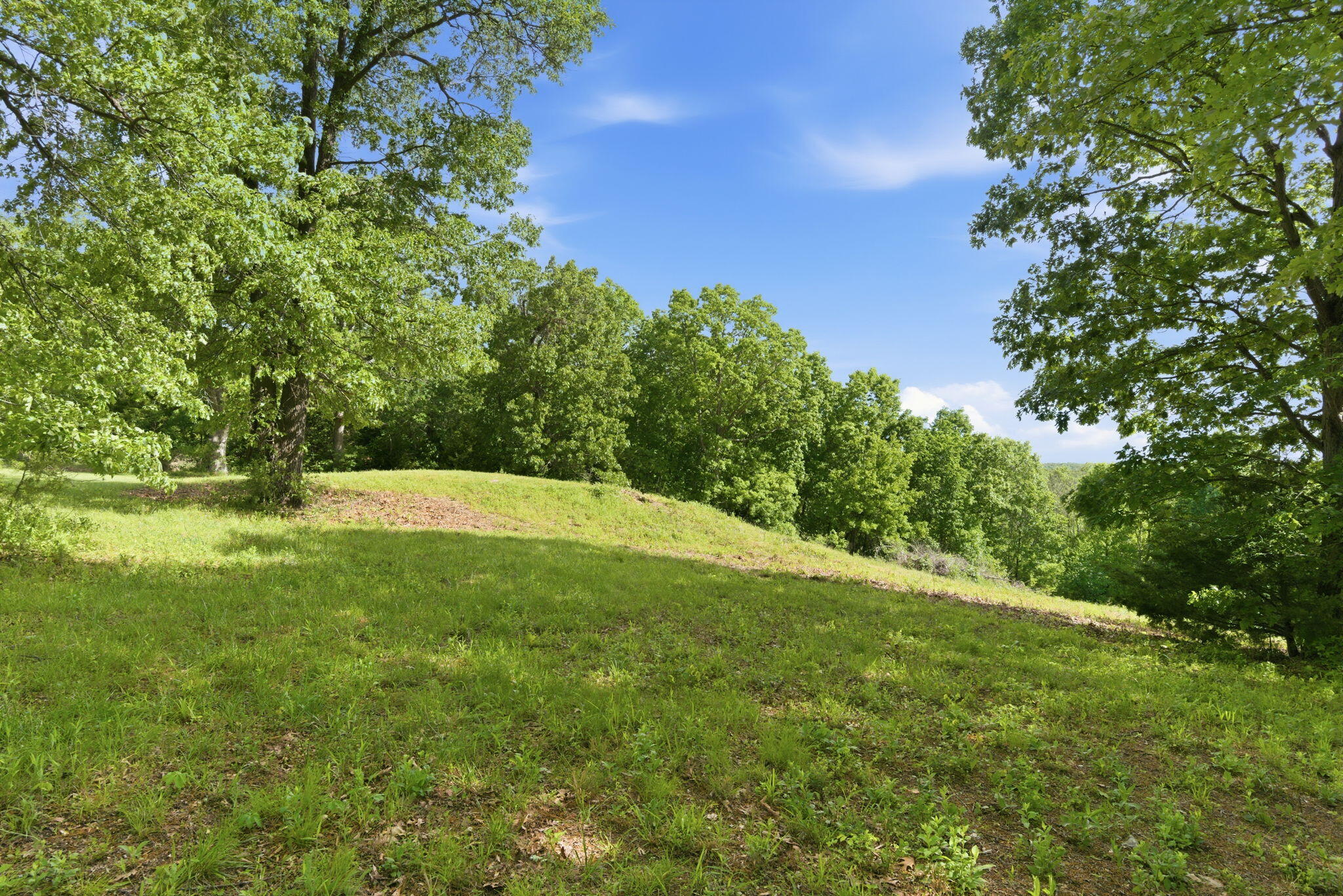 Photo 4 - Land for sale – 000  1481 Road  Stockton, MO