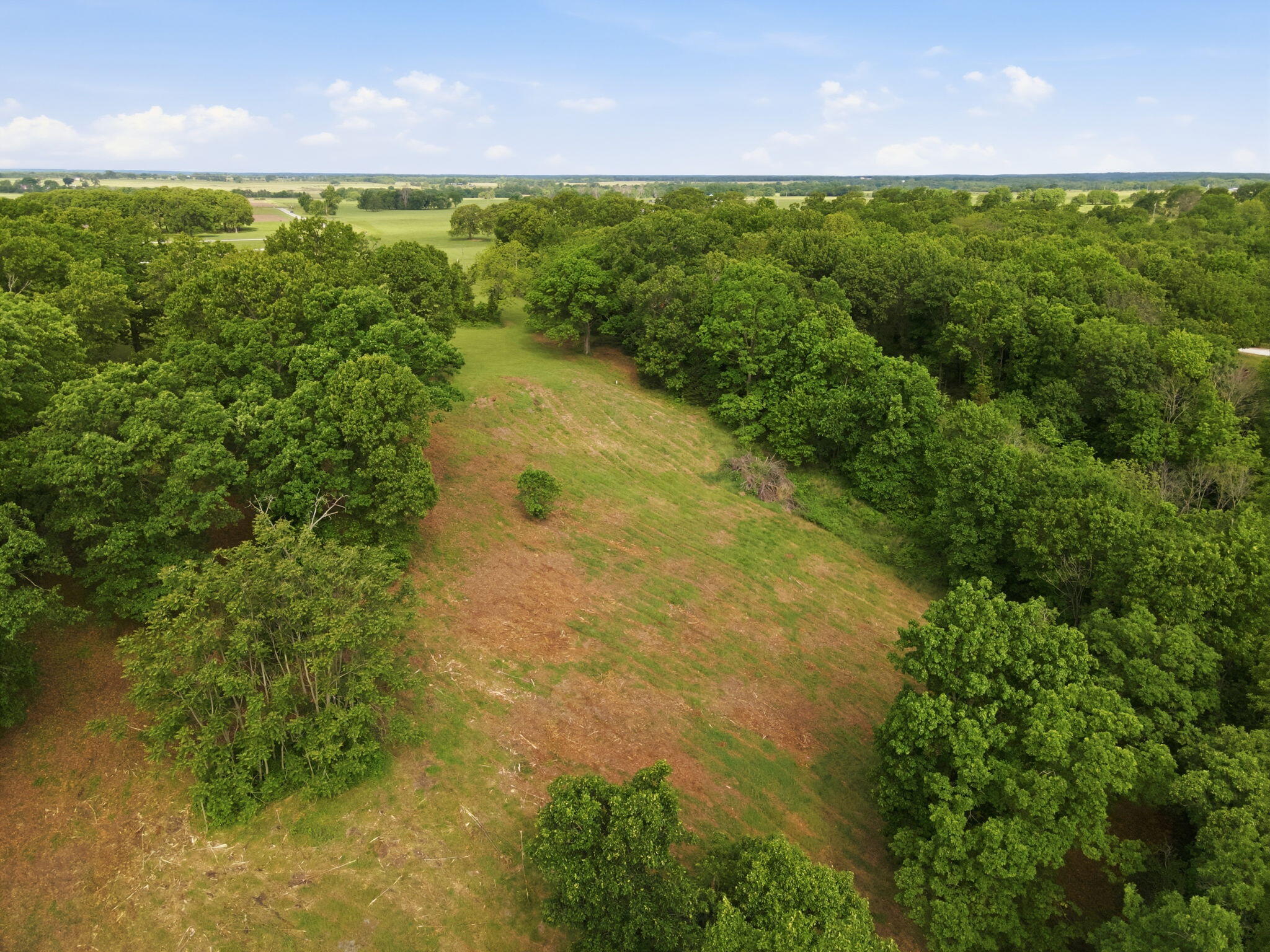 Photo 14 - Land for sale – 000  1481 Road  Stockton, MO