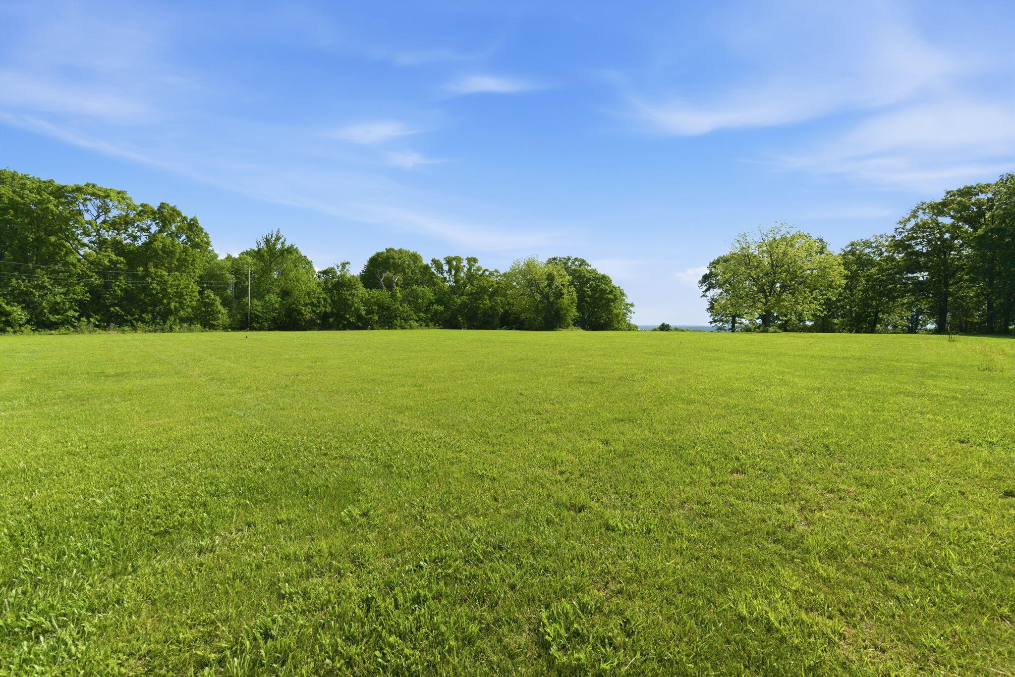 Photo 9 - Land for sale – 000  1481 Road  Stockton, MO