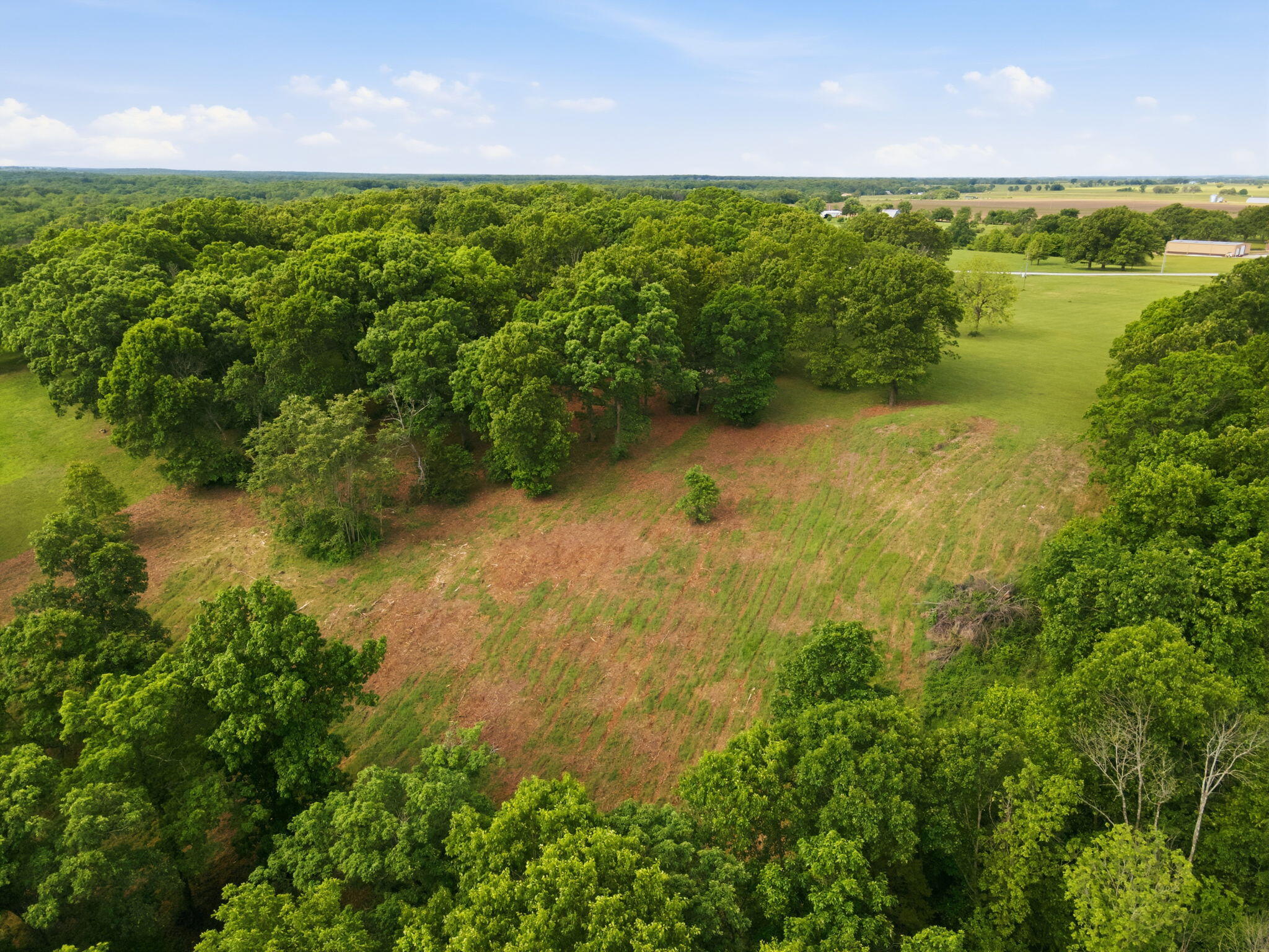 Photo 13 - Land for sale – 000  1481 Road  Stockton, MO