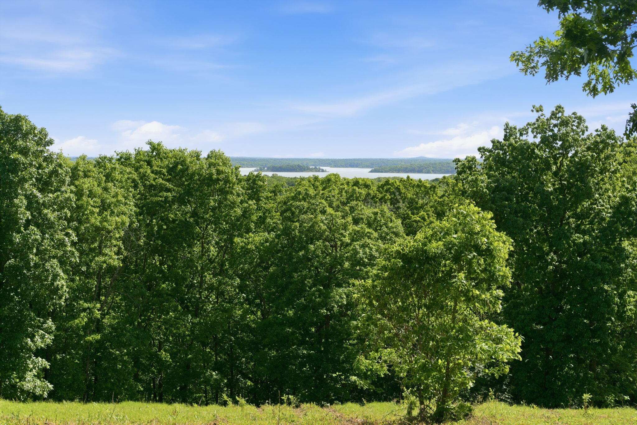 Photo 3 - Land for sale – 000  1481 Road  Stockton, MO