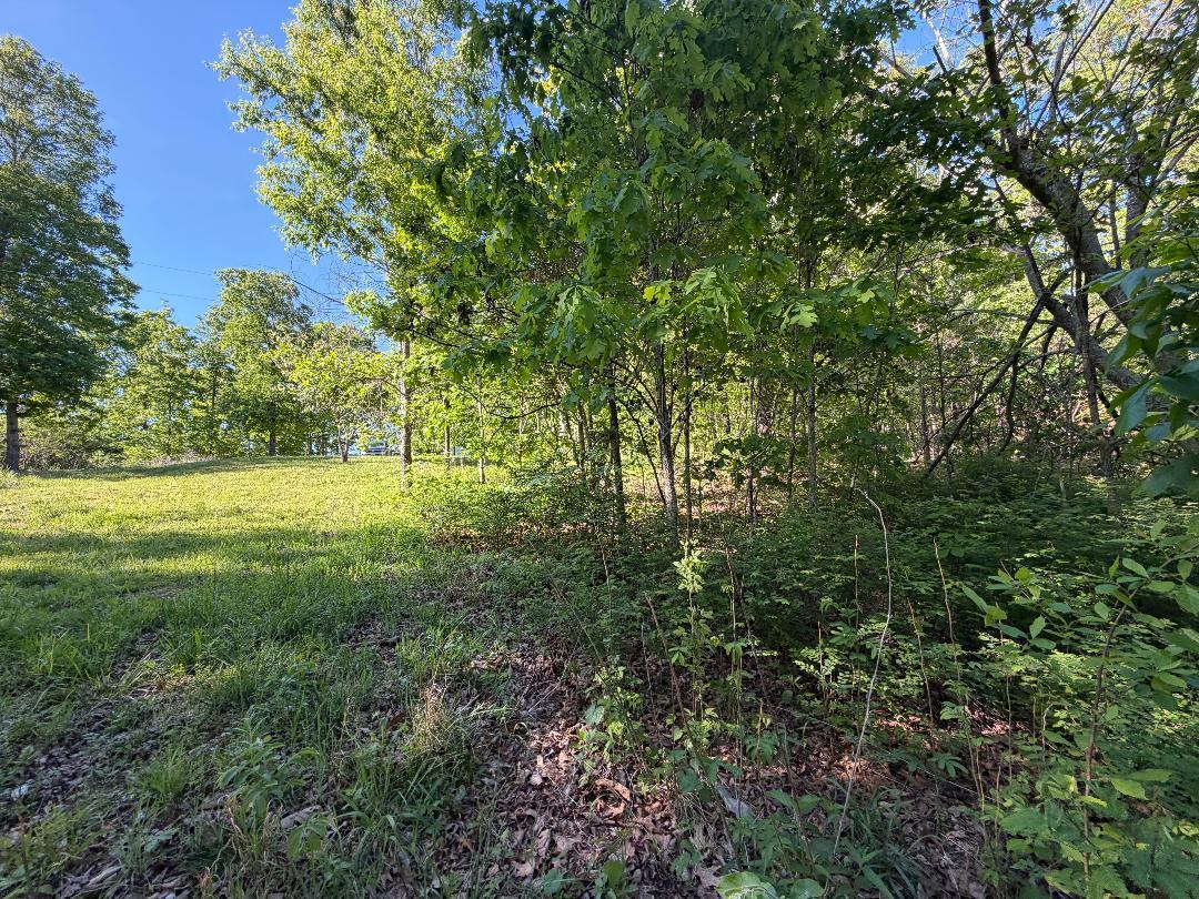 Photo 5 - Land for sale – 15748  Sargent Road  Willow Springs, MO