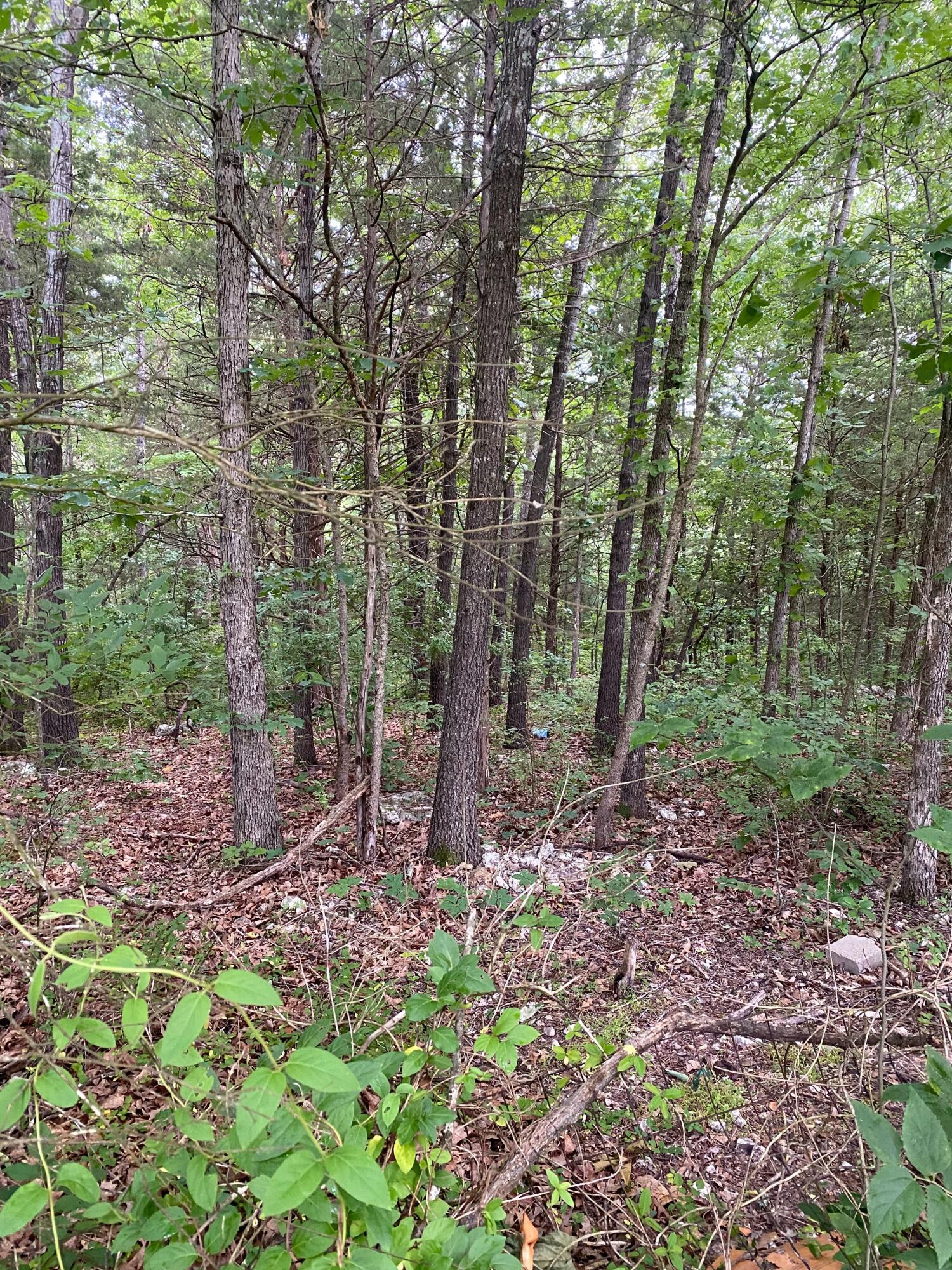 Photo 3 - Land for sale – Lot #27  Gumbo Woods   Shell Knob, MO