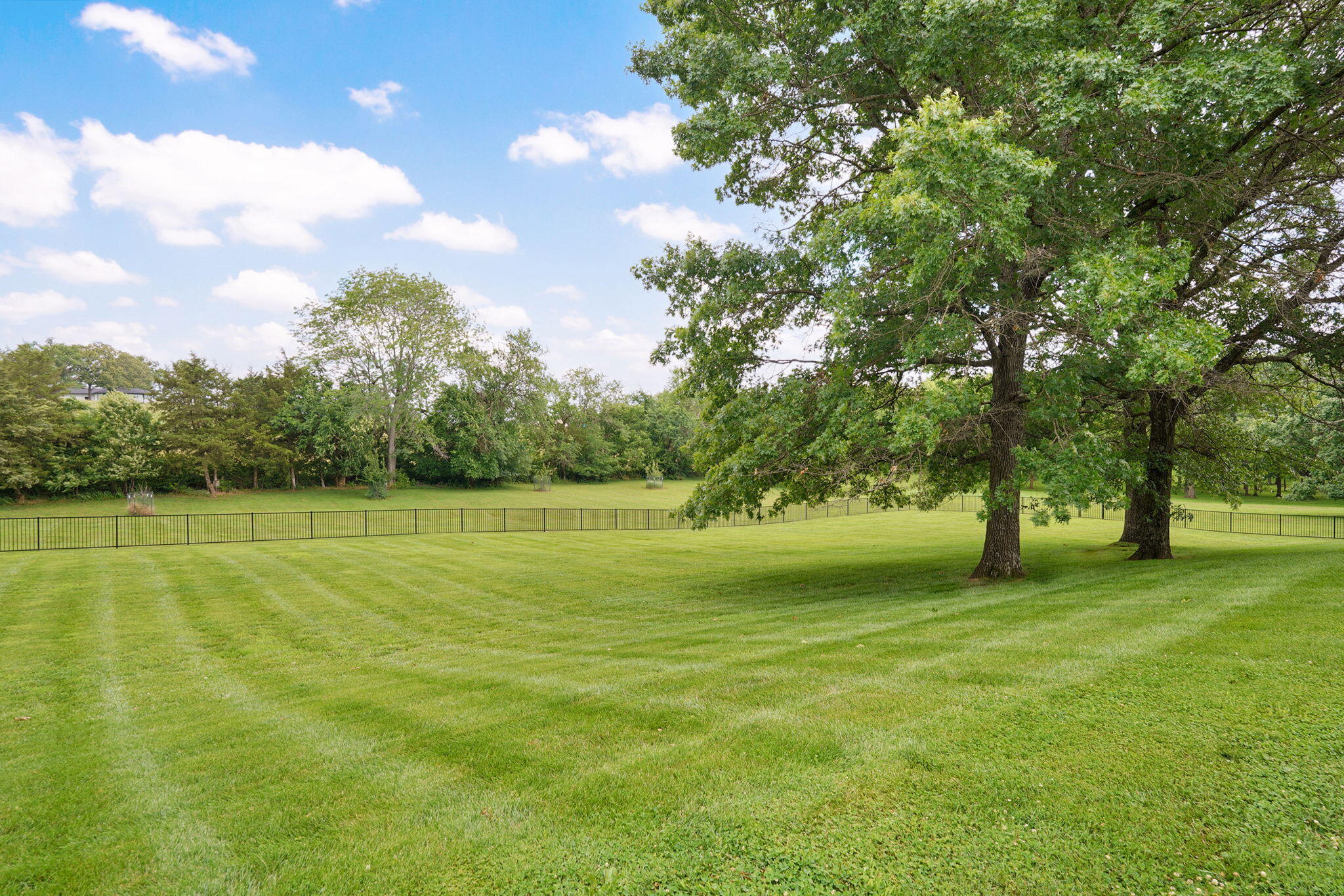 Photo 102 - Residential for sale – 1690 S Royal Drive  Springfield, MO