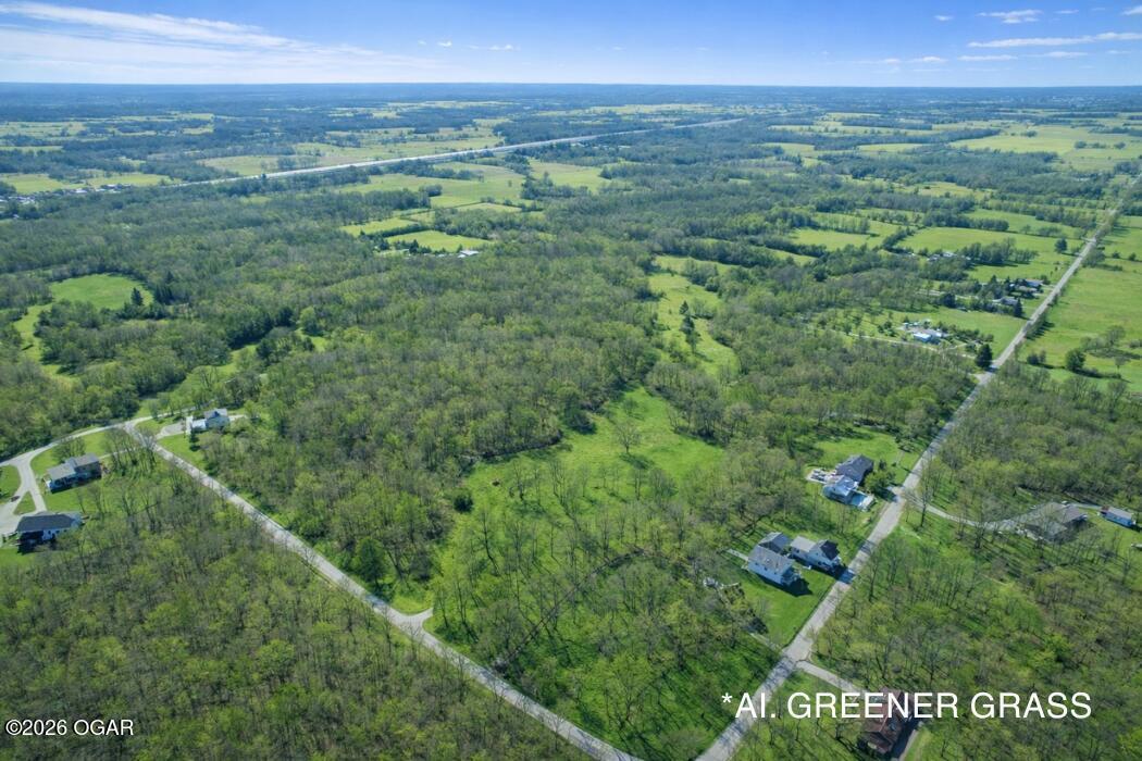 Photo 3 - Land for sale – 3m/L Acres  Ibex Road  Neosho, MO