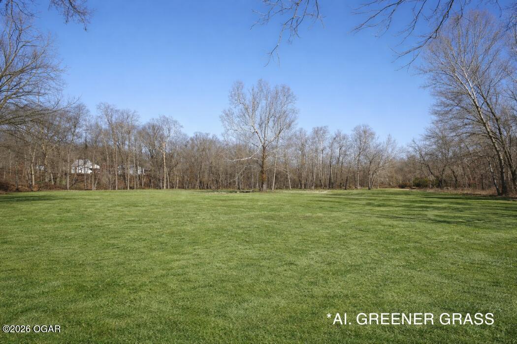 Photo 5 - Land for sale – 3m/L Acres  Ibex Road  Neosho, MO
