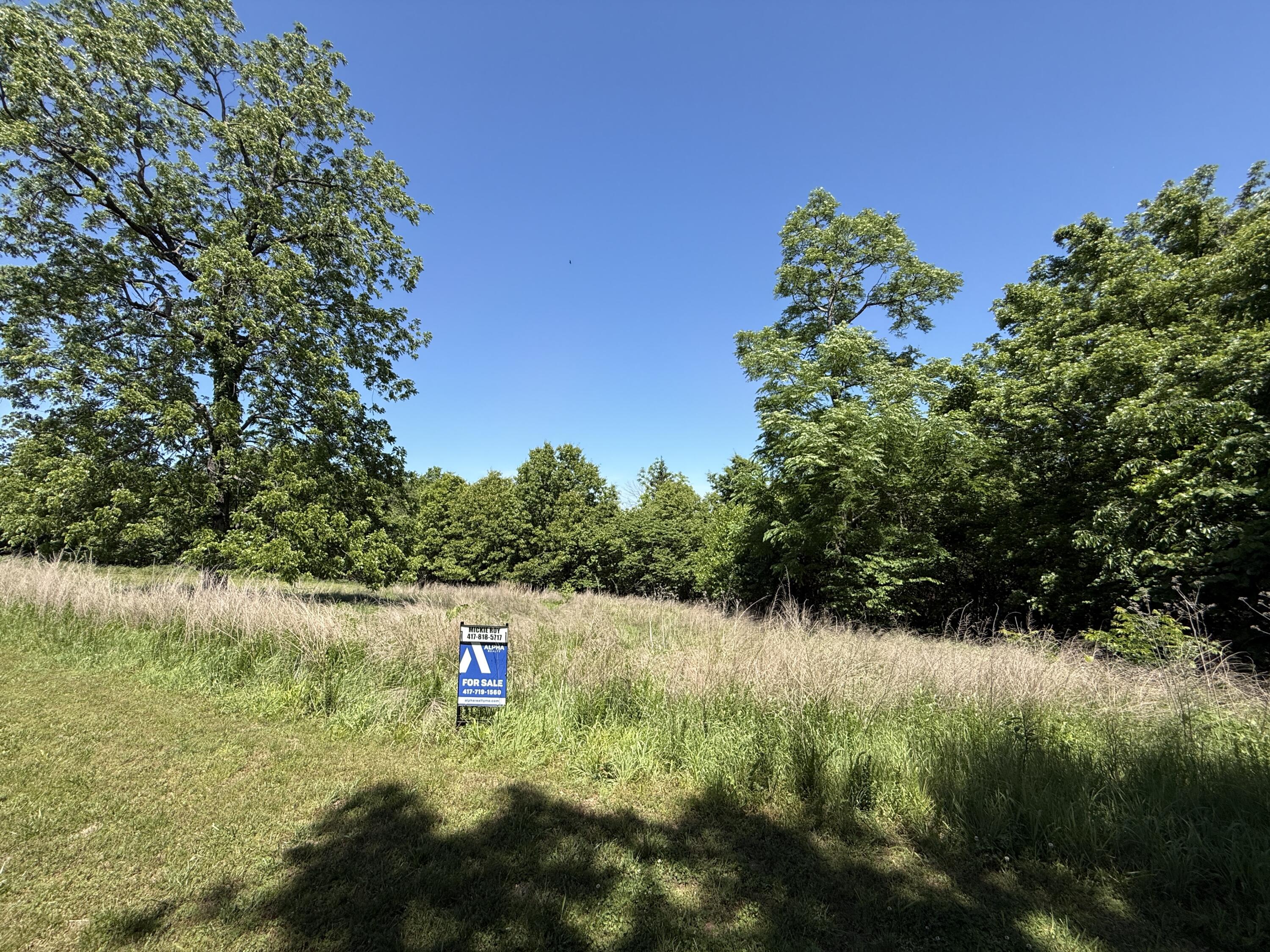 Photo 3 - Land for sale – 000 S 1507 Road  Stockton, MO