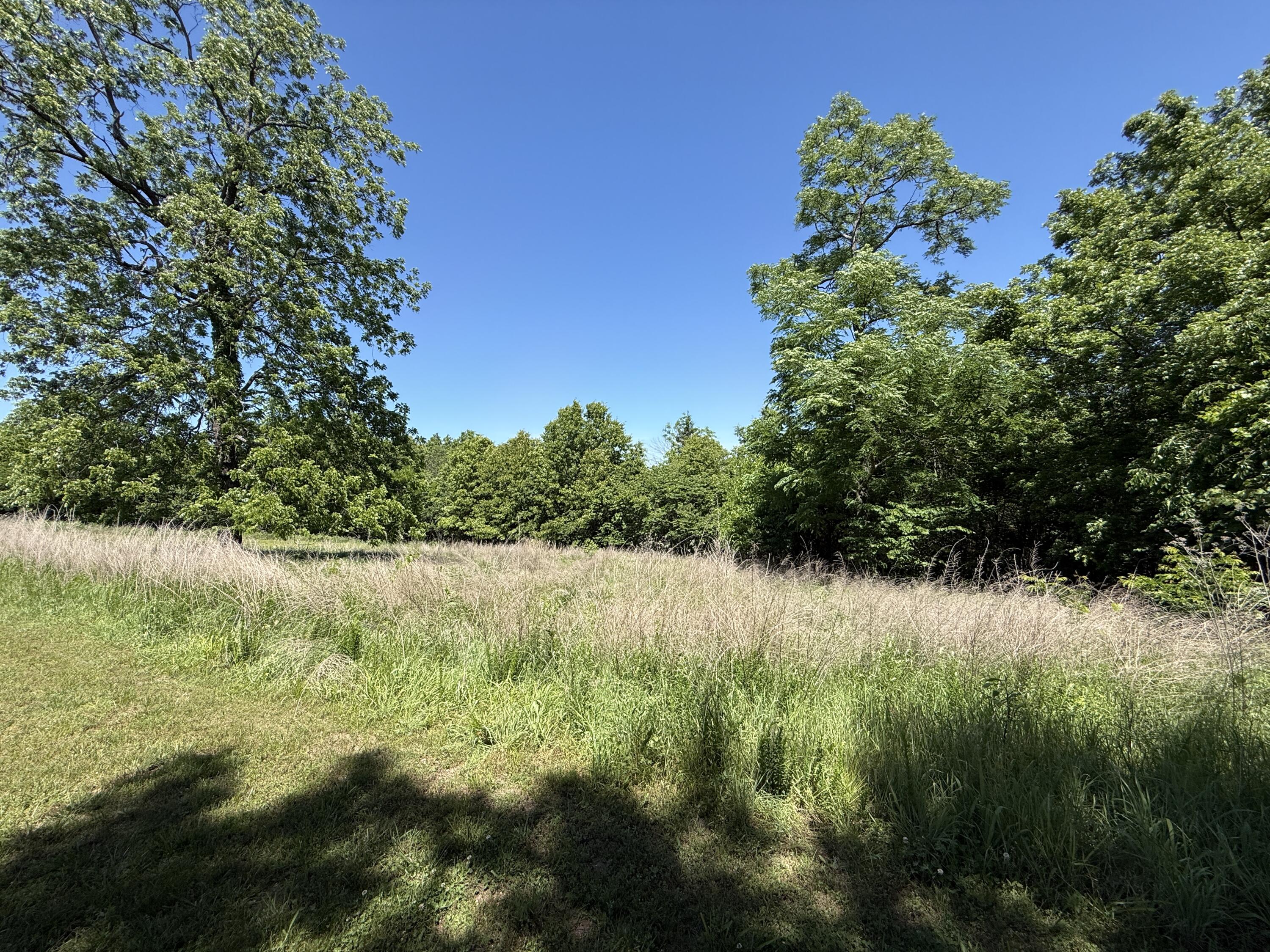 Land for sale – 000 S 1507 Road Stockton, MO