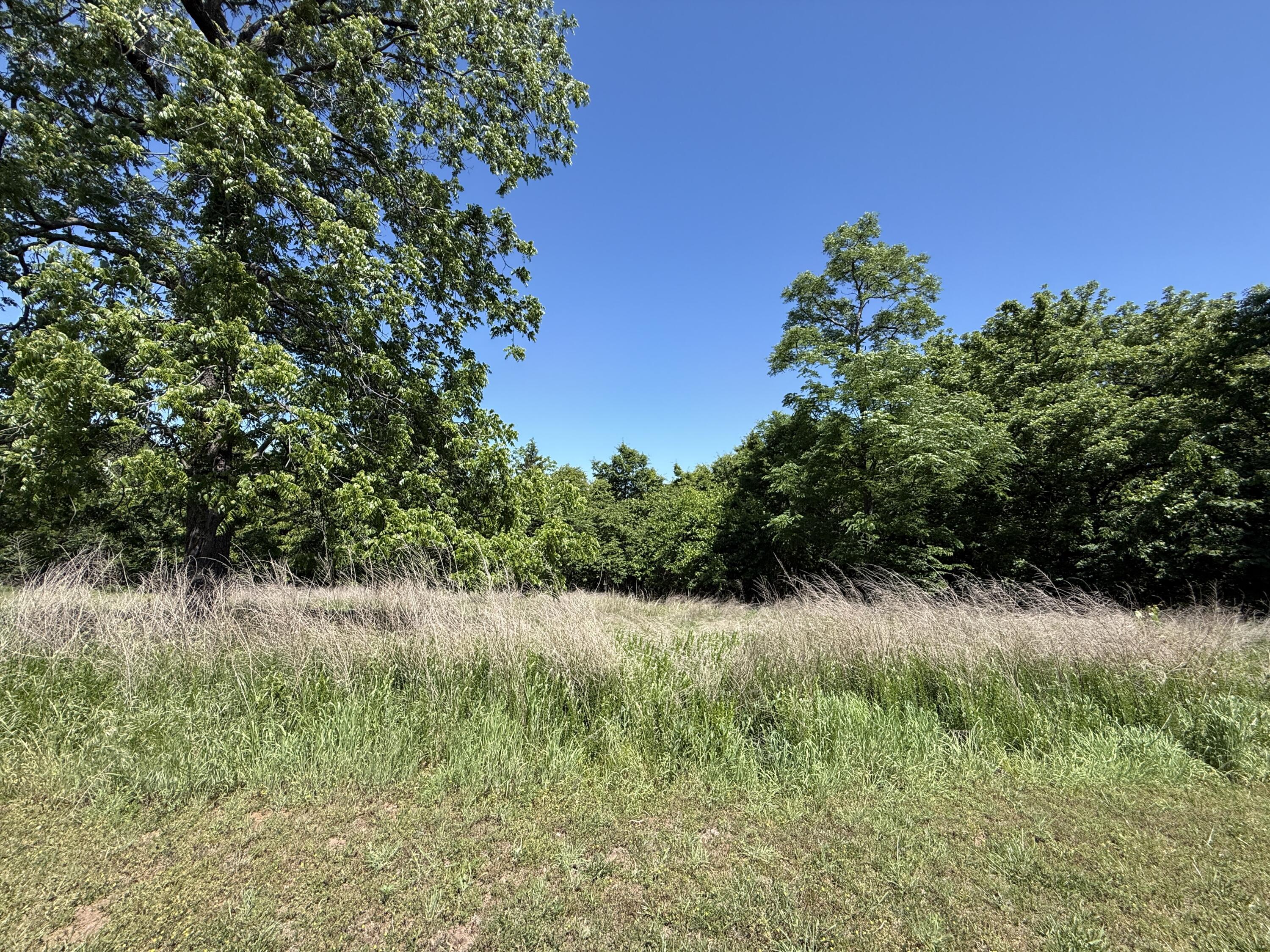 Photo 2 - Land for sale – 000 S 1507 Road  Stockton, MO