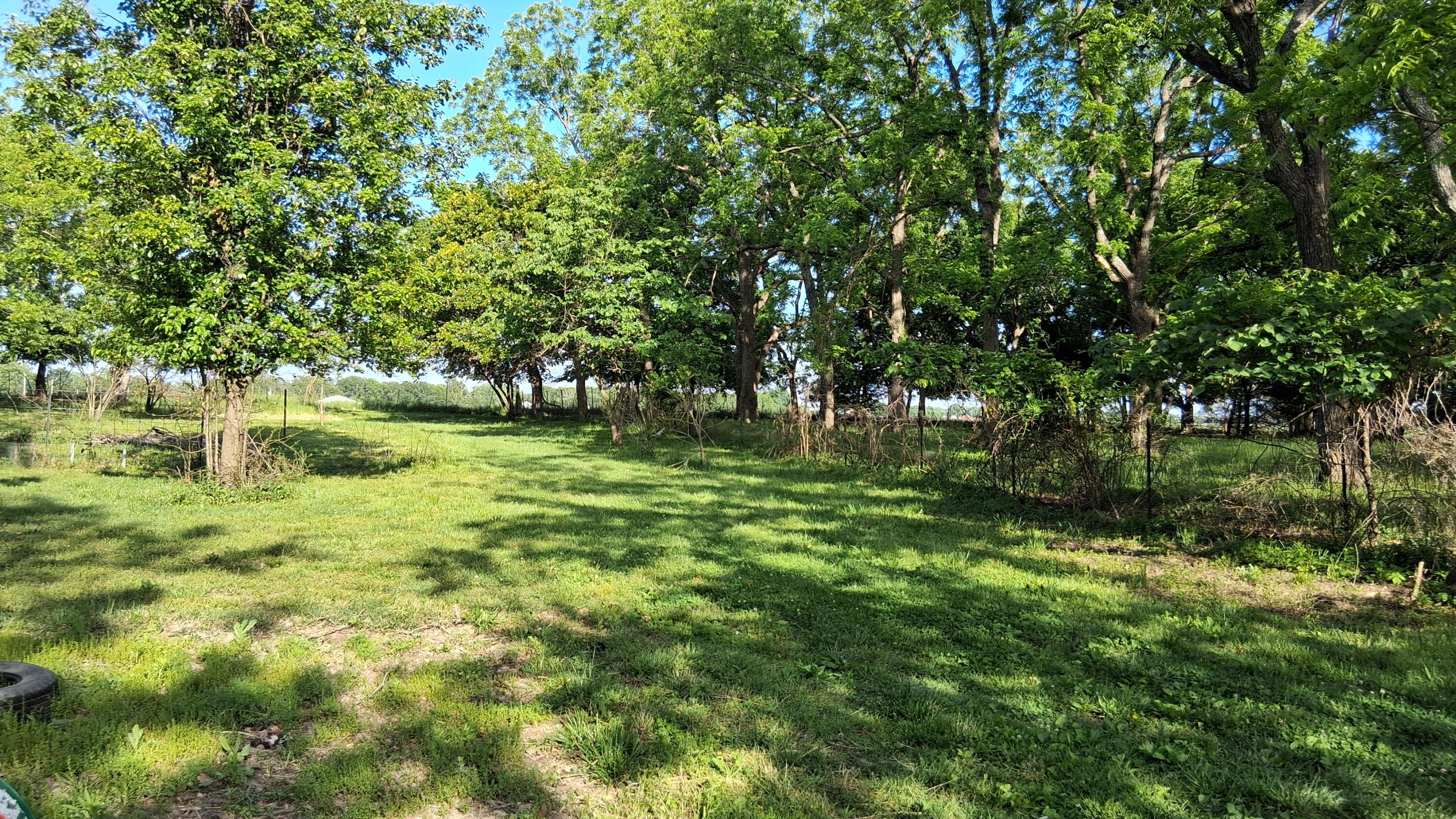 Photo 45 - Residential for sale – 9953  State Highway C   Purdy, MO